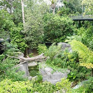Rainforest Wild Asia: Rock Cascade - Rotational Enclosure #2 (empty)