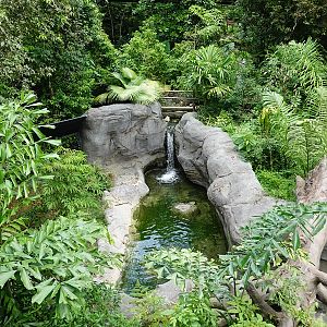 Rainforest Wild Asia: Rock Cascade - Rotational Enclosure #2 (empty)