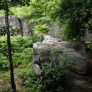 Rainforest Wild Asia: Rock Cascade - Rotational Enclosure #1