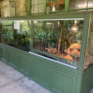 Australian Water Dragon Exhibit (Potoroo Palace)