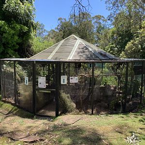 Potoroo Enclosure (Potoroo Palace)