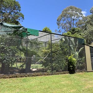Aviary (Potoroo Palace)