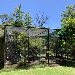 Aviary (Potoroo Palace)