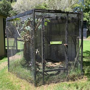 Empty Aviary (Potoroo Palace)