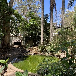 Waterfowl Exhibit (Potoroo Palace)