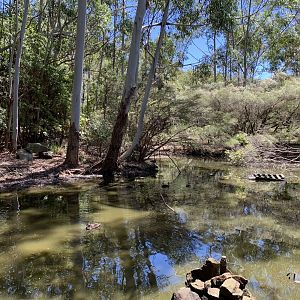 Waterfowl Exhibit (Potoroo Palace)