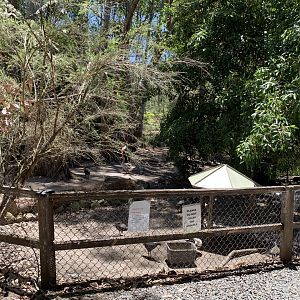 Waterfowl Exhibit (Potoroo Palace)