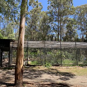 Walk-through Aviary (Potoroo Palace)