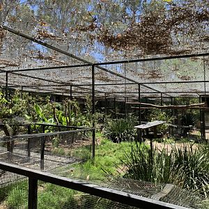 Walk-through Aviary (Potoroo Palace)