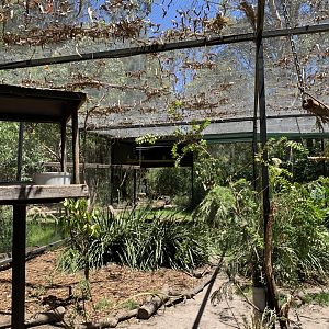 Walk-through Aviary (Potoroo Palace)