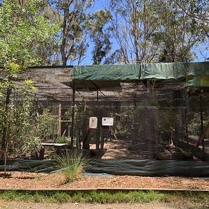 Woodland Aviary (Potoroo Palace)