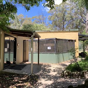 Reptile House (Potoroo Palace)