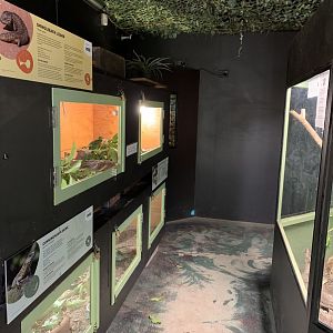 Reptile House (Potoroo Palace)