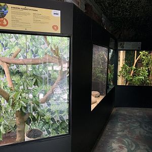 Snake Enclosures (Potoroo Palace)