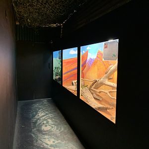 Reptile House (Potoroo Palace)