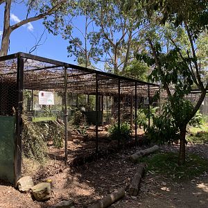 Potoroo Pens (Potoroo Palace)