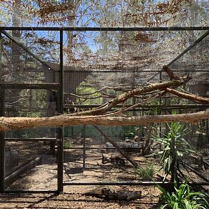 Aviary (Potoroo Palace)