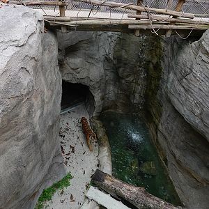 Rainforest Wild Asia: Rock Cascade - Tiger enclosure