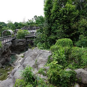 Rainforest Wild Asia: Rock Cascade - Tiger enclosure