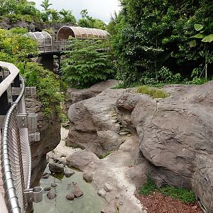 Rainforest Wild Asia: Rock Cascade - Tiger enclosure