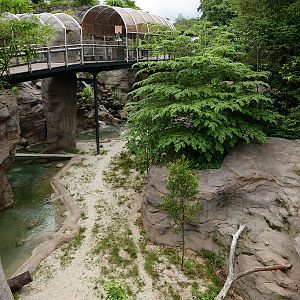 Rainforest Wild Asia: Rock Cascade - Tiger enclosure