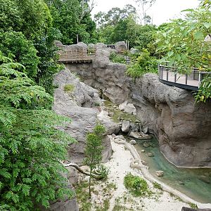 Rainforest Wild Asia: Rock Cascade - Tiger enclosure