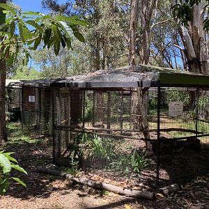Empty Enclosures (Potoroo Palace)