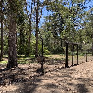Emu Pen (Potoroo Palace)
