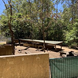Wombat Exhibit (Potoroo Palace)