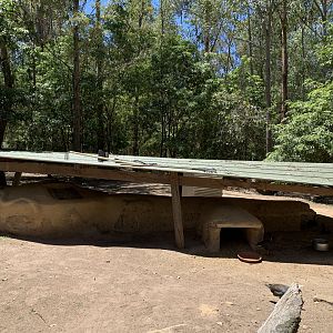 Wombat Burrow (Potoroo Palace)