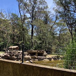 Dingo Exhibit (Potoroo Palace)