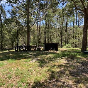 Dingo Exhibit (Potoroo Palace)