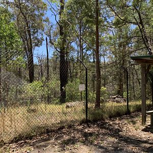Empty Exhibit (Potoroo Palace)