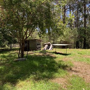 Swamp Wallaby Exhibit (Potoroo Palace)