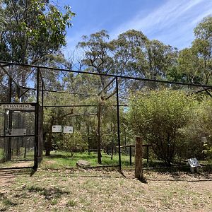 Kookaburra Aviary (Potoroo Palace)