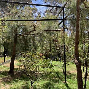 Kookaburra Aviary (Potoroo Palace)
