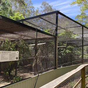 Flying Fox Enclosure (Potoroo Palace)