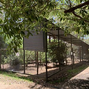 Bettong Enclosure (Potoroo Palace)