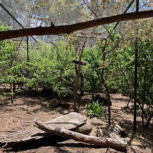 Rufous Bettong Enclosure (Potoroo Palace)