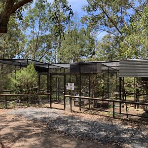 Cockatoo Aviaries (Potoroo Palace)