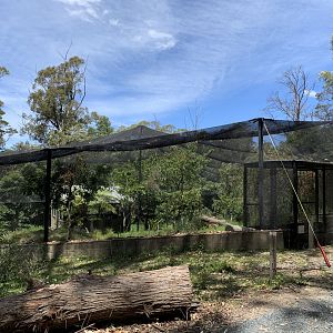 Big Potoroo Enclosure (Potoroo Palace)