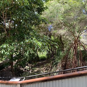Echidna Exhibit (Potoroo Palace)