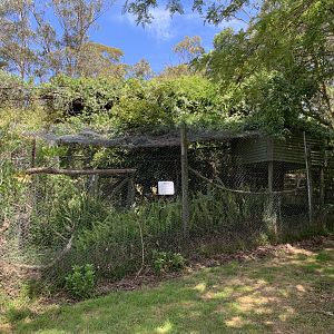 Empty Aviary (Potoroo Palace)