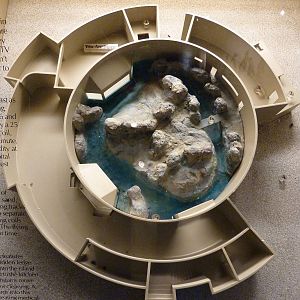 Humboldt Penguin Exhibit - Model