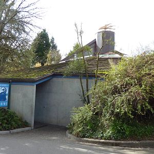Humboldt Penguin Building