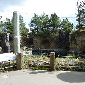 Steller's Sea Lion Exhibit