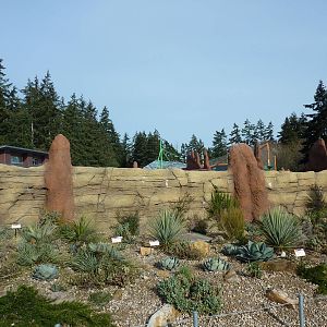 Meerkat Exhibit - Exterior