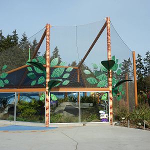 Ringtail + Black Lemur Exhibit