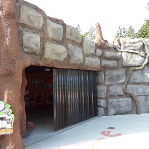 Meerkat Exhibit - Entrance To Indoor Area