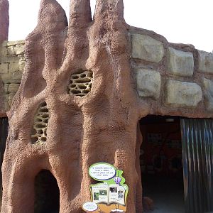 Meerkat Exhibit - Indoor Entrance